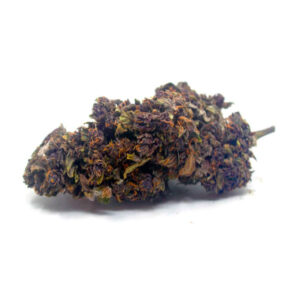 Fleur de CBD Purple Budah Bud
